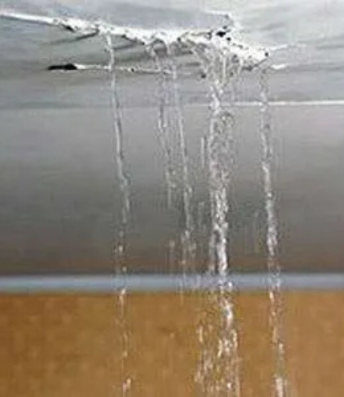 Untitled design (28)