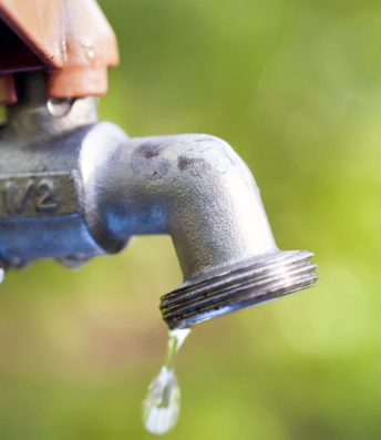 Untitled design (29)